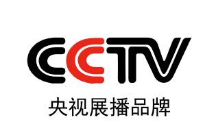 CCTV央视网logo